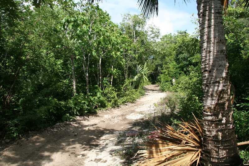 Mexico & Guatemala 2010 - 1274